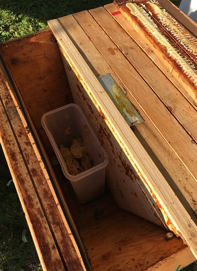 Vorratsdose mit Wachsabschnitten zum Auslecken durch die Bienen, die auch zum Füttern genutzt werden kann. 